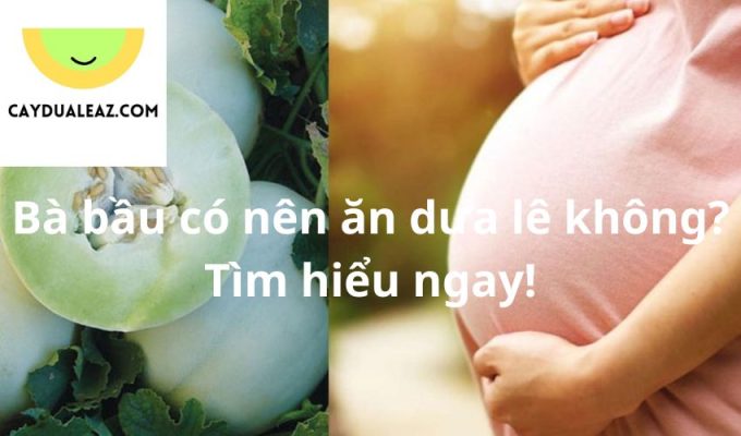 Bà bầu có nên ăn dưa lê không? Tìm hiểu ngay!