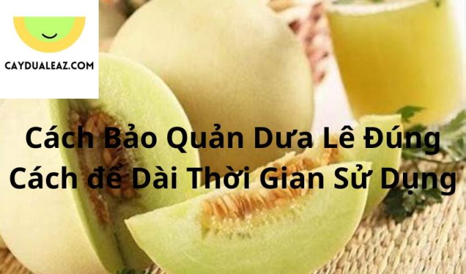 Cách Bảo Quản Dưa Lê Đúng Cách để Dài Thời Gian Sử Dụng