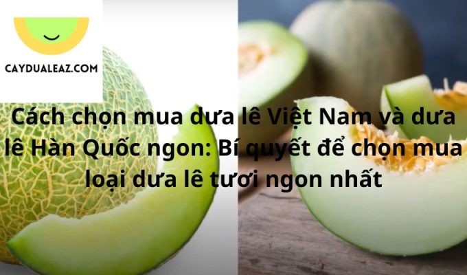 Cách chọn mua dưa lê Việt Nam và dưa lê Hàn Quốc ngon: Bí quyết để chọn mua loại dưa lê tươi ngon nhất