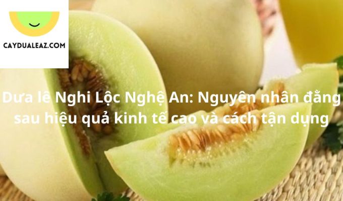 Dưa lê Nghi Lộc Nghệ An: Nguyên nhân đằng sau hiệu quả kinh tế cao và cách tận dụng