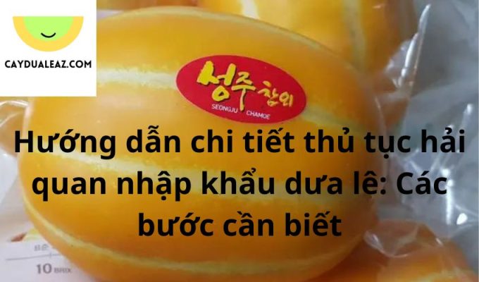 Hướng dẫn chi tiết thủ tục hải quan nhập khẩu dưa lê: Các bước cần biết