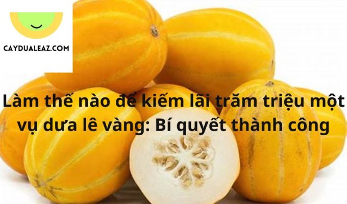 Làm thế nào để kiếm lãi trăm triệu một vụ dưa lê vàng: Bí quyết thành công