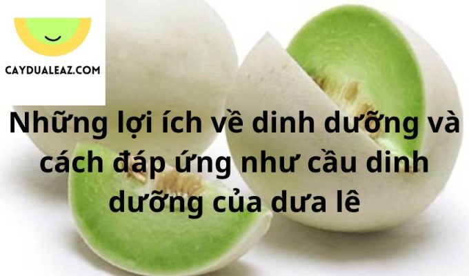 Những lợi ích về dinh dưỡng và cách đáp ứng như cầu dinh dưỡng của dưa lê